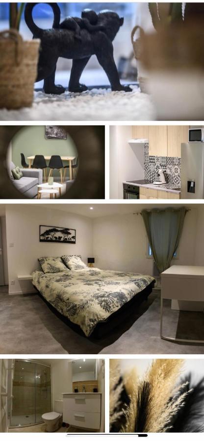 Le Boldieu- Duplex Beziers -Allee Paul Riquet- Wifi- Tv Connecte Buitenkant foto