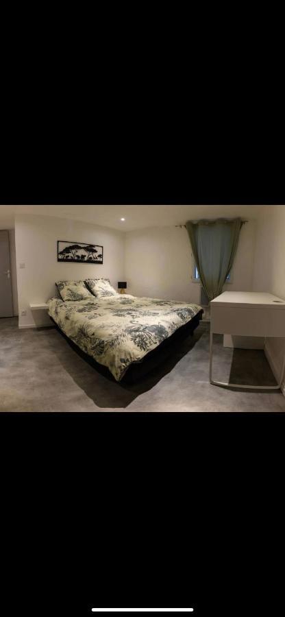 Le Boldieu- Duplex Beziers -Allee Paul Riquet- Wifi- Tv Connecte Buitenkant foto